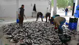 Muğla artık sadece turizmin başkenti değil: Ege’nin ihracat devleri arasına adını yazdırdı