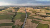 Edirne’de yağmur, ayçiçeği tarlalarını canlandırdı