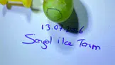 Sarıgöl'de üzüm üreticilerine salkım güvesi uyarısı