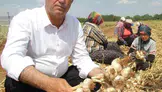 Hasan Altun'dan tarımda sürdürülebilirlik çağrısı
