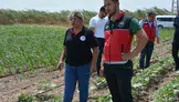 Hatay'da tarım projeleriyle ürün gelişimi denetlendi