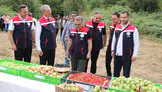 Bolu orman meyveleri, doğal zenginliklerle ekonomiyi canlandırıyor