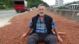 Giresun'da fındık üreticileri TMO'ya yöneliyor