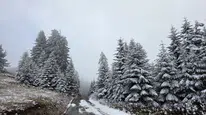 Doğu Karadeniz’e kış çöktü...Rize ve Artvin’in yaylaları beyaza büründü!
