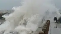 Tayfunun ardından Çin'in deniz çiftlikleri yeniden canlandı
