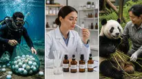 Dünyanın en sıra dışı meslekleri neler? Kimler yapabilir ve kim sağlar, ne kadar kazandırır?