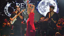 Petek Dinçöz Geyikli'deki Zafer Bayramı konserinde çocuklarla marş söyledi