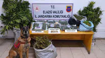 Elazığ'da uyuşturucu operasyonunda 3 kişi tutuklandı
