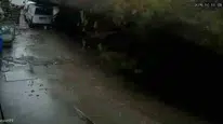 Zonguldak'ta istinat duvarının çökme anı kamerada: Köpekler telef oldu, araçlar enkaz altında kaldı