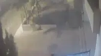 Mardin'de devrilen ağaçtan 10 saniyeyle kurtuluş kamerada