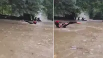 Lüks semtte sel paniği: Görüntüler şoke etti!