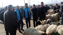 Kurban pazarında rehberlik mesaisi: Çaldıran Müftülüğü'nden vatandaşlara kritik uyarılar