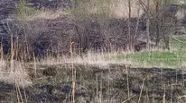 Van'da korkutan yangın: Sazlık alanda yükselen dumanlar ekipleri harekete geçirdi