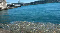 Boğaz’ın incisi çöplüğe döndü: Ortaköy’de denizden yükselen isyan