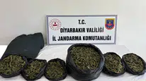 Diyarbakır’da zehir tacirlerine ağır darbe: Jandarmadan eş zamanlı şafak operasyonu