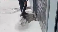 Kars'ta dolu yağışı vatandaşları şaşırttı