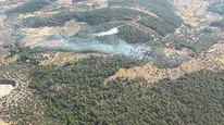 Milas'ta zirai yangın kontrol altına alındı
