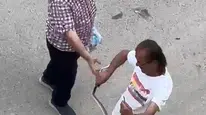 Evde korku dolu anlar: Yılanı bir hamlede etkisiz hale getirdi