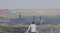 Karacabey'de otluk alanda yangın çıktı