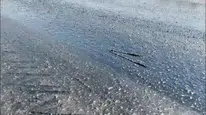 Edirne'deki aşırı sıcak hava asfaltı eritti, belediye kum serdi