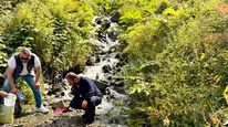 Uzungöl çevresinde doğaya 15 bin yavru alabalık salındı