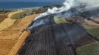 Tekirdağ’da tarla yangını hasar bıraktı