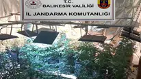 Balıkesir'de jandarmadan uyuşturucu serasına yapılan baskın: 12 gözaltı