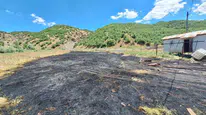 Bingöl'de tarlada çıkan yangın, itfaiye tarafından söndürüldü