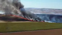 Tekirdağ'da yangın: 300 dönüm alan zarar gördü