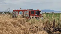 Sigara keyfi buğday tarlasını kül etti