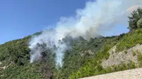 Bursa'daki yangın tarım alanından ormana sıçradı, alevler villalara yaklaşıyor