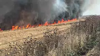 Çorlu'da buğday tarlasında yangın kontrol altına alındı