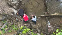 Kaymakamın çevre temizliği ile dikkat çeken şelale ziyareti