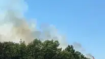 Kestel'deki orman yangını ekiplerin müdahalesiyle söndürüldü