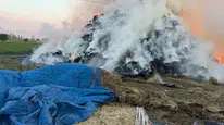 Iğdır'da meydana gelen yangında 6 bin balya ot yok oldu