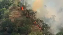 Kastamonu'da çıkan orman yangını 40 dönümlük alanı etkiledi