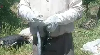 Batman'da bir vatandaş, yakaladığı yılanı güvenli bir şekilde doğaya bıraktı