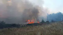 Muğla'daki orman yangınında bir kişi gözaltına alındı