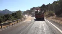 Mersin'de büyükbaş hayvan taşıyan tır devrildi, sürücü yaralandı