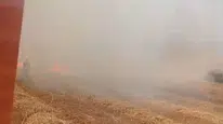 Bandırma'daki anız ve çalılık alanda çıkan yangın itfaiye ekipleri tarafından söndürüldü