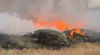 Bingöl'deki orman yangınına ekipler müdahale ediyor