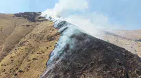 Elazığ'da yangına neden olan şüpheli tutuklandı