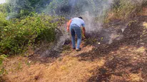 Düzce'de fındıklıkta yangın paniği muhtarın müdahalesiyle önlendi