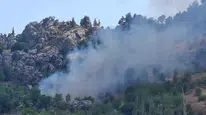 Alanya'da ziraat alanında yangın kontrol altına alındı