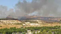 Şanlıurfa'da ormanlık alanda çıkan yangına itfaiye müdahale etti