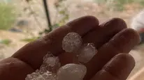 Tekirdağ'da dolu yağışı tarım ürünlerine büyük zarar verdi