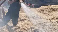 Bingöl'deki arazi yangını tarım alanlarını tehdit etti