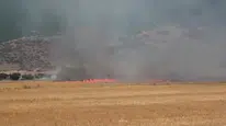 Gaziantep'te tarla yangını paniğe neden oldu