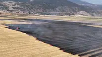 Gaziantep'te tarlada çıkan yangın paniğe yol açtı