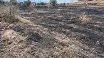 Sarıgöl'de çıkan yangın mahalle sakinleri sayesinde büyümeden söndürüldü